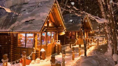 Hokkaido Illumination Tour & Shikisai no Oka & Christmas Tree & Elf Terrace & Shirogane Blue Pond (Aoiike) Waterfall / Chinese-Speaking Driver Guide Day Tours