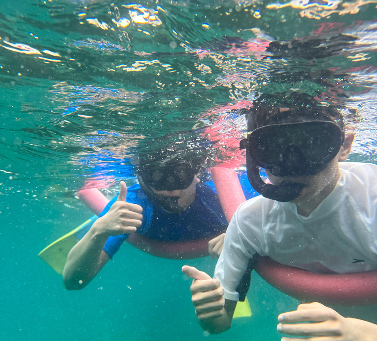 Nelson Bay: Marine Discovery Cruise with Snorkeling