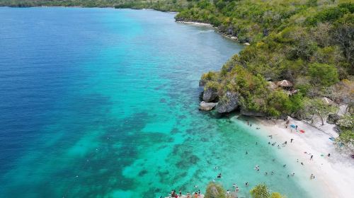 Siquijor Island Day Tour: Enchanted Old Tree & Vine Jumping & Church & Beach