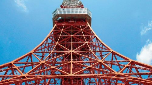 Tokyo: Full-Day Guided Tour + Lunch + Cruise + Transfer Day Tours