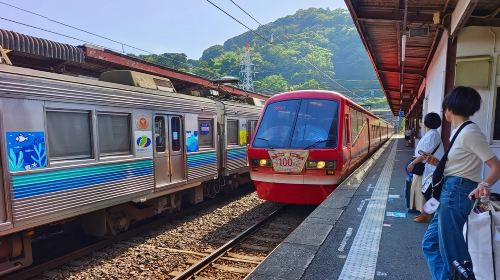 1-day tour to Jogasaki Coast, Mt. Omuro and the Seaside Train in Izu, Japan