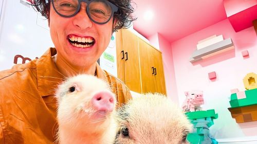 Harajuku Highlights: Where Tradition Meets Tokyo Pop Day Tours