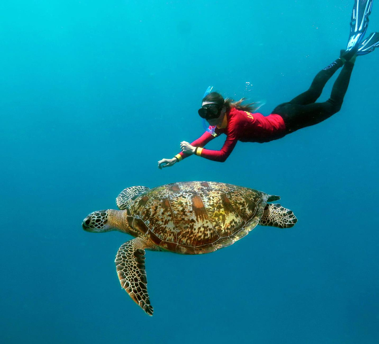 Port Douglas: Quicksilver Outer Barrier Reef Full-Day Cruise