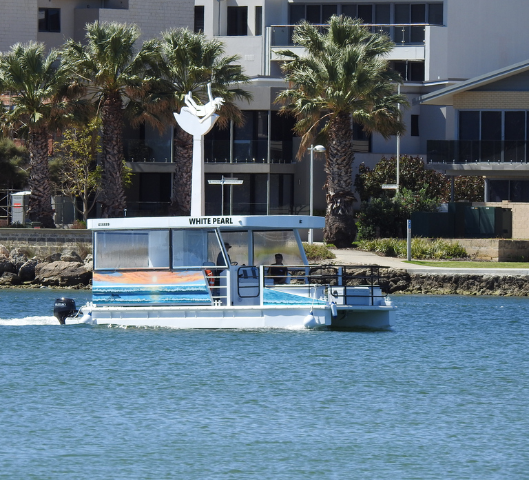 Mandurah: Sightseeing Dolphin Cruise with Tour Guide