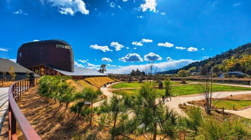 Luxury Day Trip: Hikone Castle, Ohnohama Walk, Maibara & Kurokabe Plaza