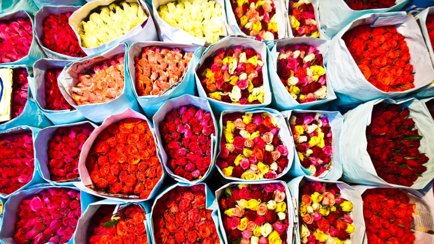 Discover the Rich Heritage: Old Portuguese Community and Flower Market