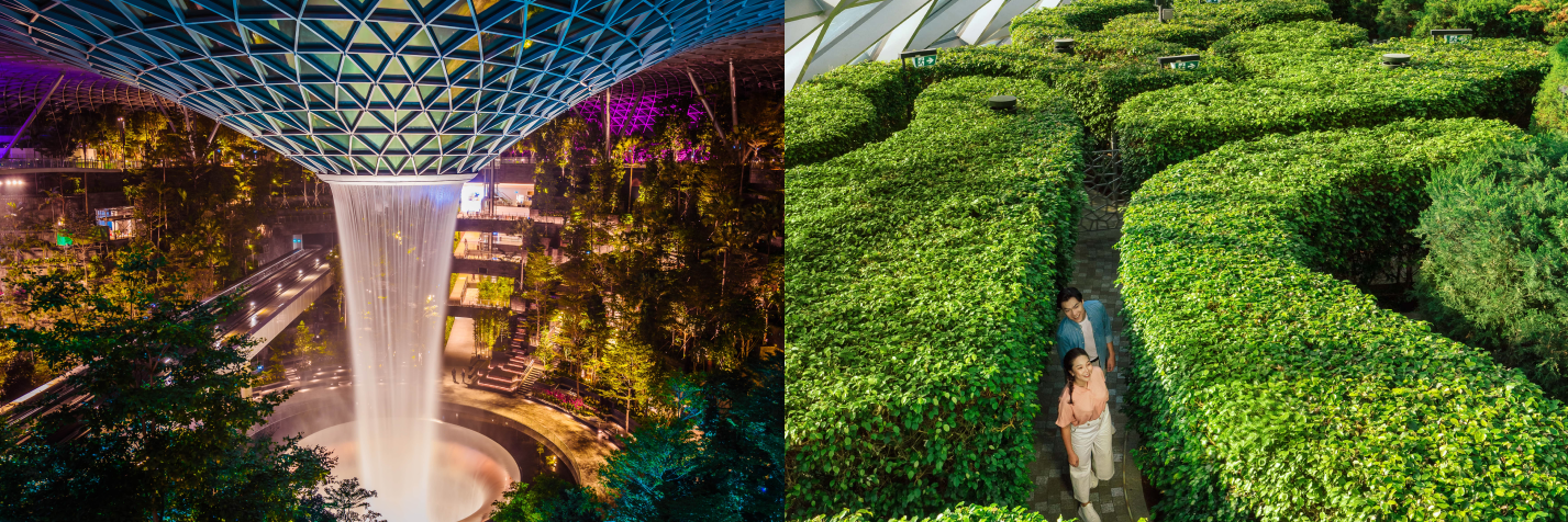 Hedge Maze + Canopy Park (Local 1-For-1 National Day 2025)