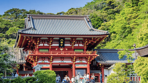 Kamakura Private Custom Tour with Local Guide Day Tours