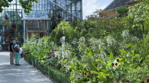 Hortus Botanicus Leiden: Skip The Line Ticket Adult