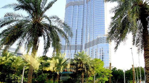 Glimpse of Dubai Day Tours