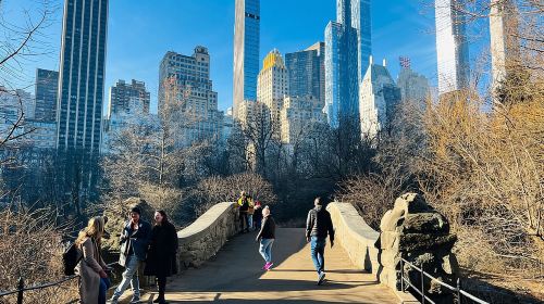 Central Park Pedicab Tour ( starting - Natural History Museum ) Day Tours