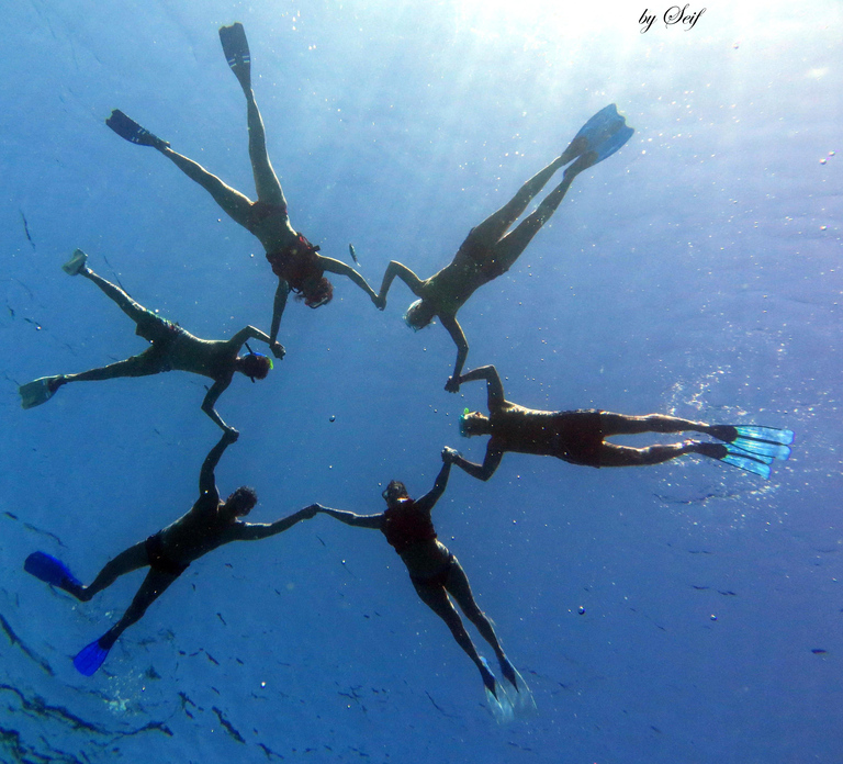 Snorkeling with Turtles: Dubai to Fujairah + Transfer & BBQ