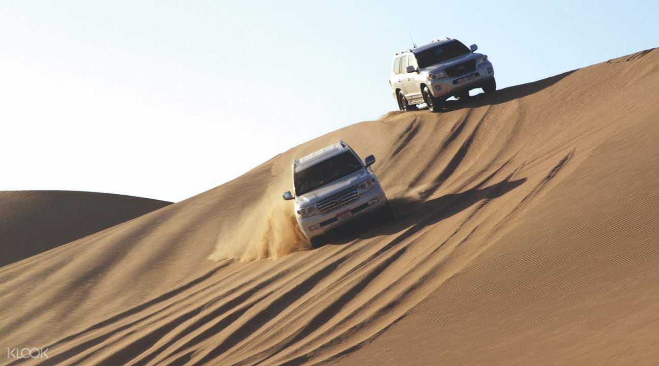 Morning Desert Safari with Camel and Date Farm Tour