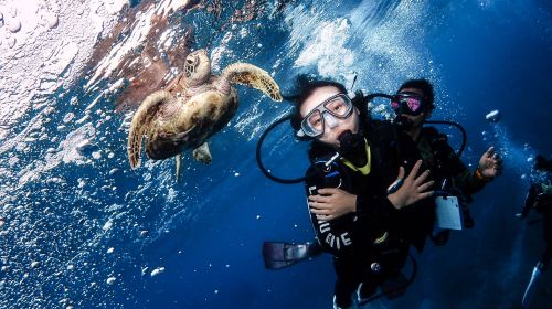 Pingtung Liuqiu Island Diving Experience diving diving 2 Hours – Xiaoliuqiu diving& Sea Turtle Tour