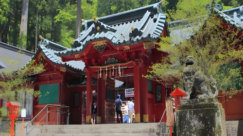 From Yokohama Port: Private 10-Hour Hakone Tour (with Customizable Itinerary)
