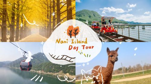 Nami Island and Chuncheon Samyuk Mountain Lake Cable Car Day Tour