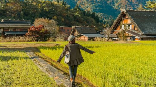Nagoya Shirakawa-go Gassho Village & Hida Takayama 1-Day Tour | Hidden Gem Adventure Day Tours