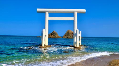 Itoshima Totoro's Forest + Couple Stone + 3 Spots Tour from Fukuoka