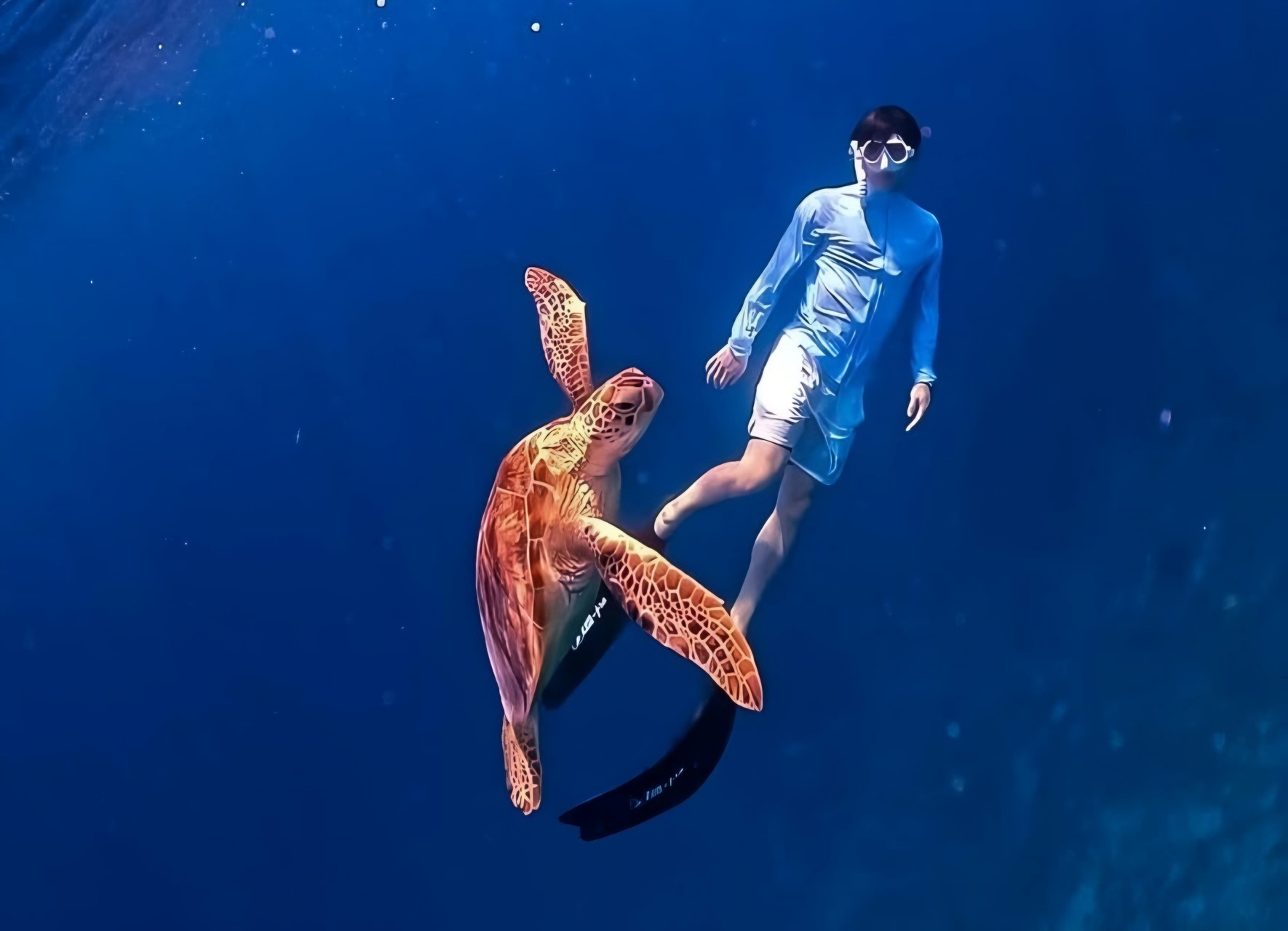 Half-Day Private Guided Snorkeling Tour in Gili Islands Lombok