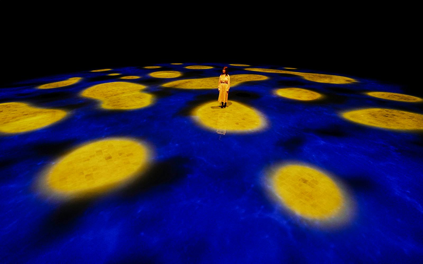 teamLab Phenomena Abu Dhabi Tickets