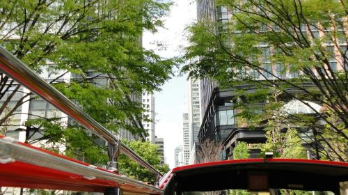 Tokyo: Hop-on Hop-off Bus Tour + Audio Guide Day Tours