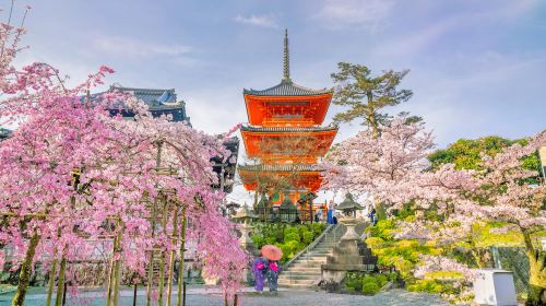 Kyoto and Nara Day Tour – Kiyomizu-dera Temple, Fushimi Inari-taisha Shrine