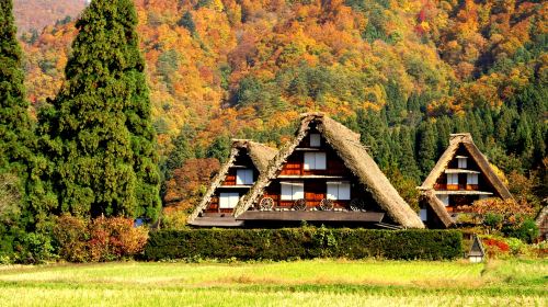 1-Day Tour to Hida Takayama & Shirakawa-go (Hida Beef Lunch