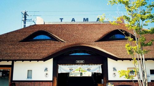 1-day tour to Shirahama, Wakayama with Conan-themed experience, including train ride to Kishi Station and Senjojiki