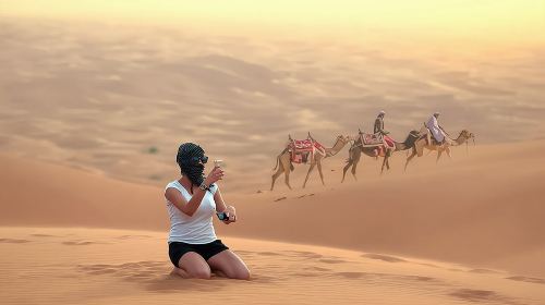 Private 4Hours Red Dunes Safari Camel Ride ,Falcon & Dune Thrills
