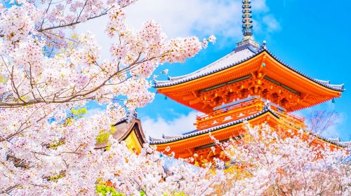 Kyoto & Nara Classic Day Tour with Friendly Deer