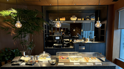 Japan airport/Tokyo Haneda airport lounge pass VIP lounge access HND Japan Haneda airport VIP lounge