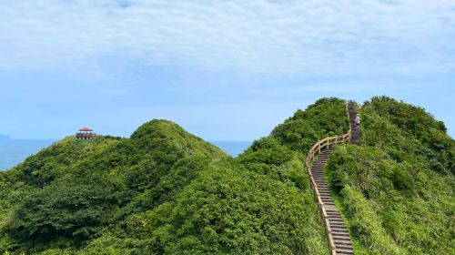 Taipei Bitou Cape Park + Zhengbin Fishing Port + Heping Island Geopark + Keelung Miaokou Night Market one-day tour