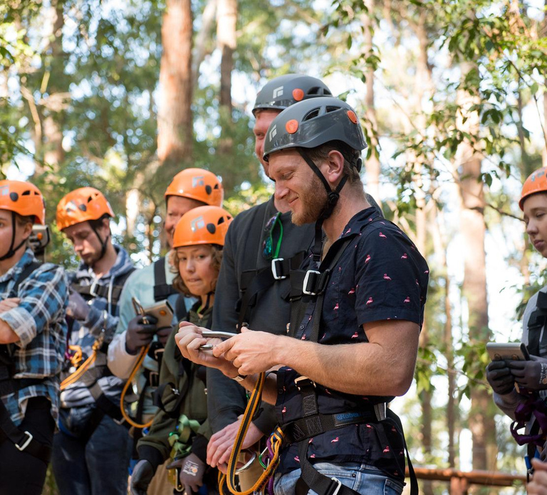 Coffs Harbour: Treetops Adventure Tree Ropes Course