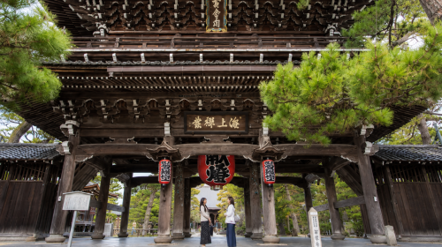 1-day tour to Amanohashidate, one of Japan's three scenic views & Ine no Funaya in the sea of Kyoto