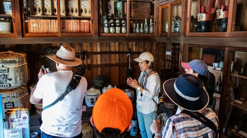 The Old Quarter of Tokyo - Yanaka Walking Tour Day Tours