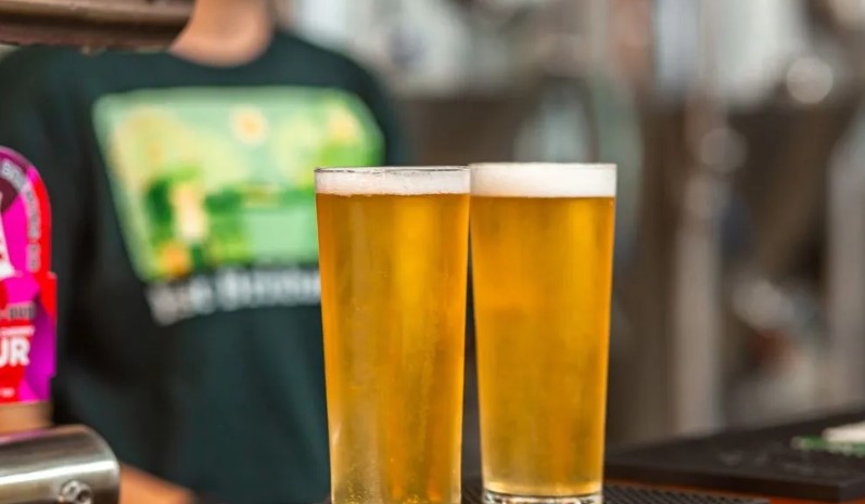 Half Day Brisbane Brewery Tour