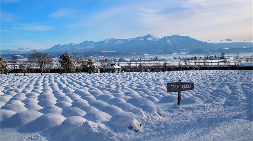 [Official Ticket] JR PASS Sapporo-Furano Area Rail Pass 4-day (e-ticket) Transport Passes