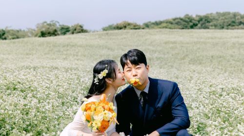 Trip Moments in Fukushima, Japan