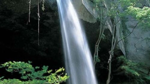 Japan daruma tour - Waterfall ascetic experience