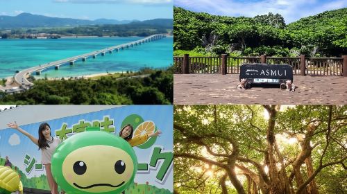 Okinawa Hip-Hop Bus C Course Tour to Northern Island Day Tours