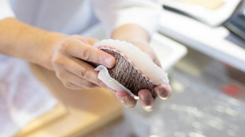 Fresh catch and cook sea fishing experience at Shonai coast in Yamagata Sakata, Japan