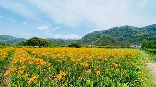 Taiwan Nantou Live Basin Adventure, Puli Scenic one-day tour[One Free for 2 People] Day Tours