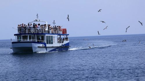 Amanohashidate, Chionji Temple & Miyama Town 1-Day Tour with Cruise & Cable Car
