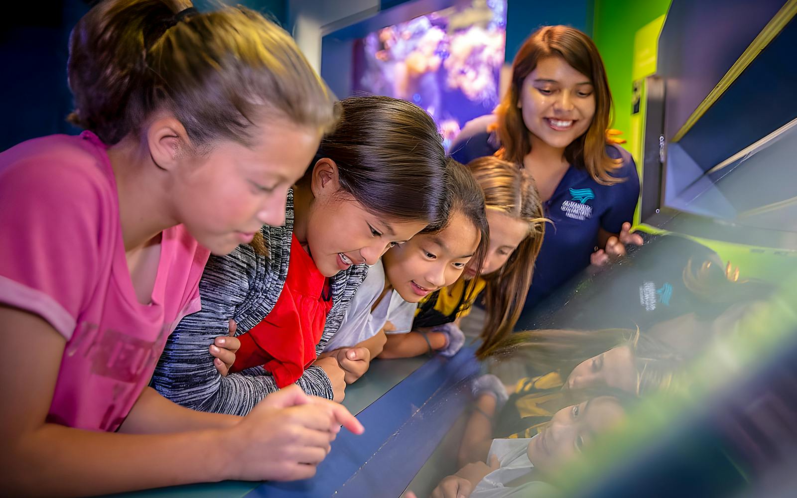 Aquarium of the Pacific Skip-the-Line Tickets