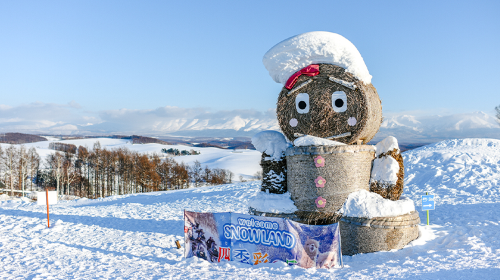 Small group of 9 people/bus tour – Panoramic flower gardens Shikisai-no-oka