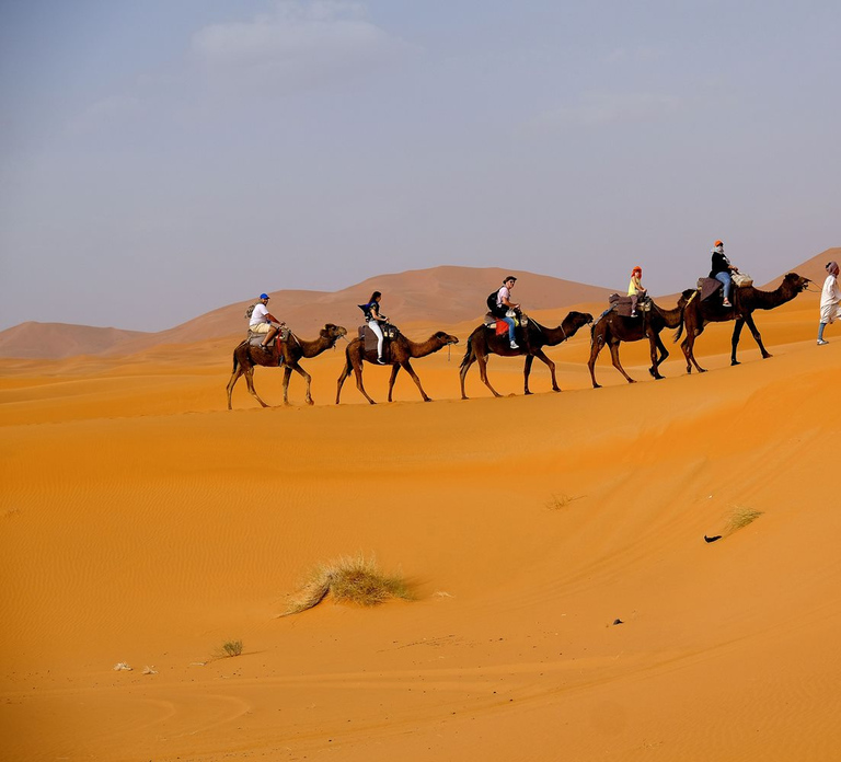 Dubai: Desert Safari, Camel Ride, and BBQ Dinner