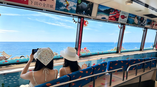 Private chartered tour in Tokyo and Izu to Mt. Omuro + Jogasaki Coast + Cactus Park. Customizable itinerary
