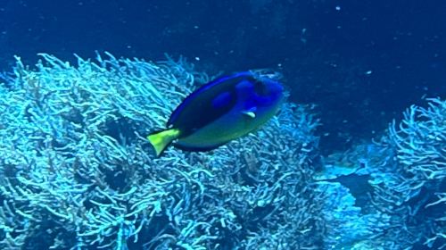 Loebbecke-Museum und Aquazoo