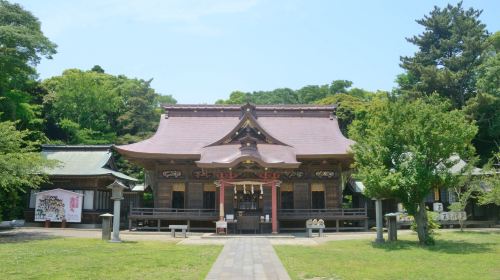 1-day tour to Hitachi seaside park and Oarai Isosaki shrine in Ibaraki, Japan