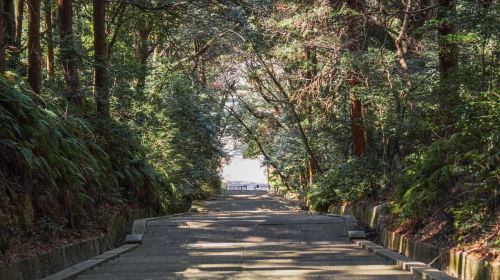 Kyoto from Above: Hike Mt. Amida with Kiyomizu Views Day Tours